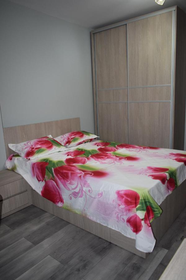 Apartament Parc Central Rhbm Baia Mare Exterior foto